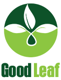 Good Leaf Recreational Cannabis Dispensary
